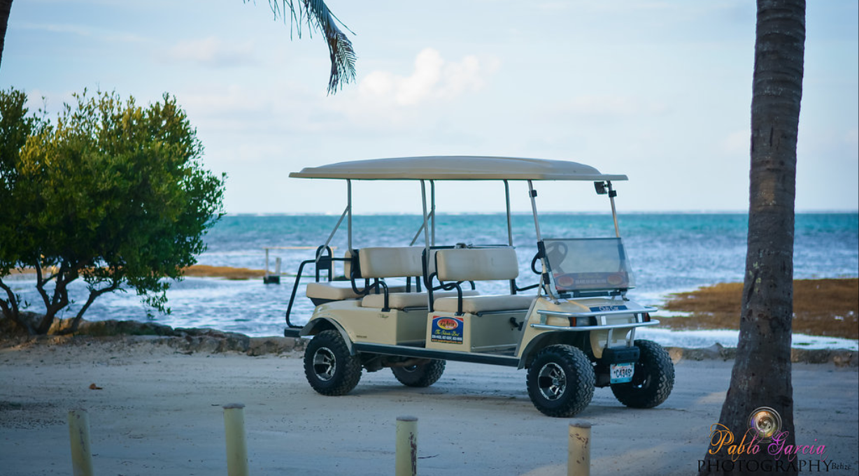 avis golf cart rentals san pedro